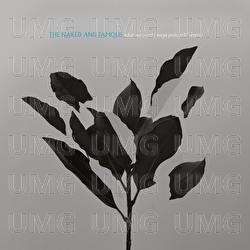 What We Want - The Naked And Famous