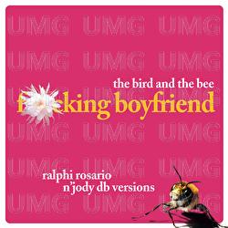 Ralphi Rosario N' Jody Db Versions - The Bird And The Bee
