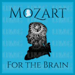 Mozart For The Brain - Various Artists