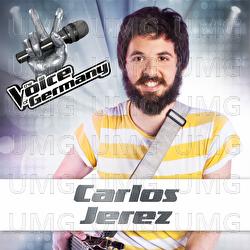 Don't You Worry Child - Carlos Jerez