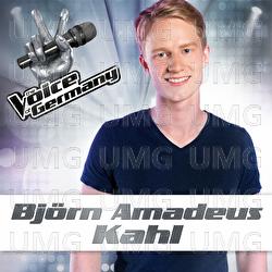 Einmal sehen wir uns wieder - Bj&ouml;rn Amadeus Kahl