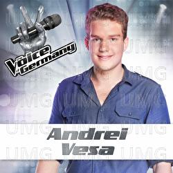 Secrets - Andrei Vesa