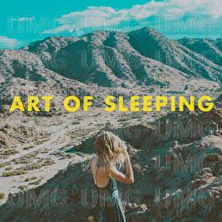Crazy - Art Of Sleeping