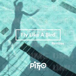 Fly Like A Bird - Pitto