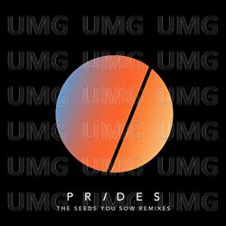 The Seeds You Sow - Prides
