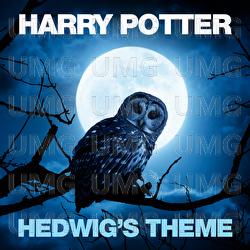 Hedwig's Theme - Czech National Symphony Orchestra, Prague, Paul Bateman