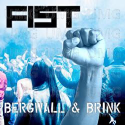 Fist - Bergwall, Brink