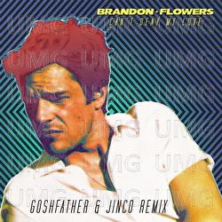 Can't Deny My Love - Brandon Flowers