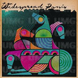 Steven's Cat - Widespread Panic