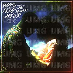 Was Je Nog Maar Hier - Cho