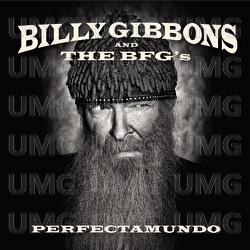 Perfectamundo - Billy Gibbons And The BFG's