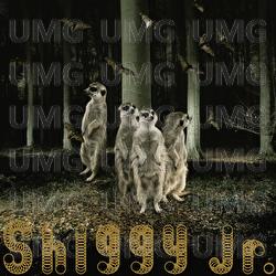 Ghost Party - Shiggy Jr.