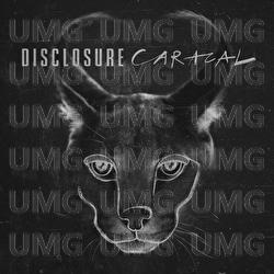 Caracal Album Mini Mix - Disclosure