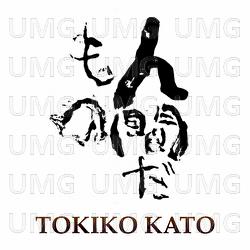 Ningendamono - Tokiko Kato