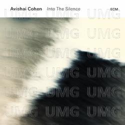 Into The Silence - Avishai Cohen