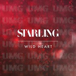 Wild Heart - Starling
