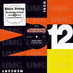 Strobelite Honey - Black Sheep