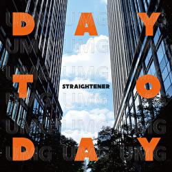 Day To Day - Straightener
