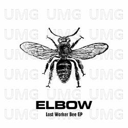 Lost Worker Bee - EP - elbow