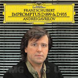 Schubert: Impromptus Op.90, D.899 & Op.142, D.935 - Andrei Gavrilov
