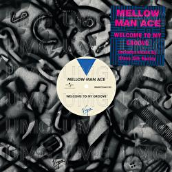Welcome To My Groove - Mellow Man Ace