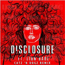 Hourglass - Disclosure, LION BABE