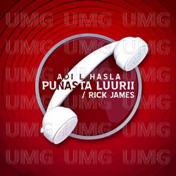 Punasta Luurii / Rick James - Adi L Hasla