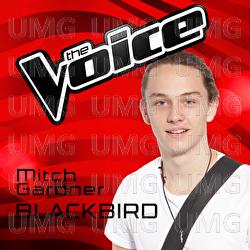 Blackbird - Mitch Gardner