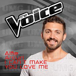 I Can't Make You Love Me - Alfie Arcuri