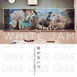 Sakanaide - WHITE JAM