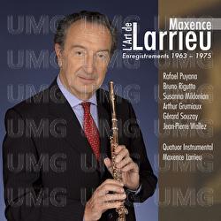 L'art de Maxence Larrieu - Maxence Larrieu