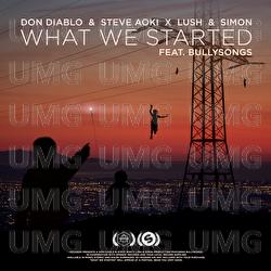 What We Started - Don Diablo, Steve Aoki, Lush & Simon