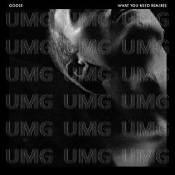 What You Need - GOOSE
