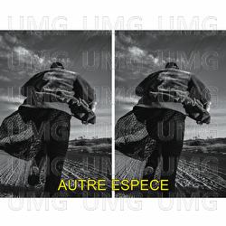 Autre esp&egrave;ce - Disiz