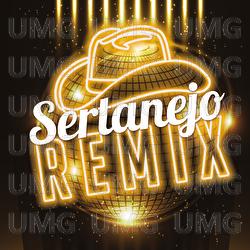 Sertanejo Remix - Various Artists