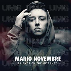 Friends On The Internet - Mario Novembre