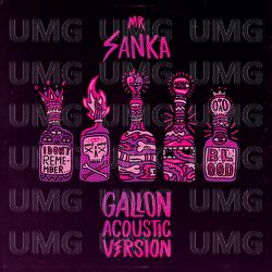 Gallon - Mr Sanka