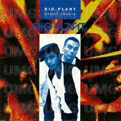 Sandy Travis - Big Plant