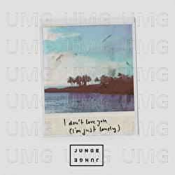 I Don't Love You (I'm Just Lonely) - Junge Junge