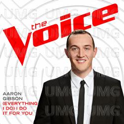 (Everything I Do) I Do It For You - Aaron Gibson