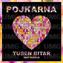 Tusen Bitar - Pojkarna, Flickan