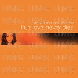 True Love Never Dies - Flip & Fill, Kelly Llorenna
