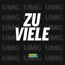 Zu viele - BSMG, Fonz