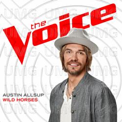 Wild Horses - Austin Allsup