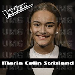Glitter & Gold - Maria Celin Strisland