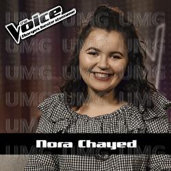 Magnets - Nora Chayed