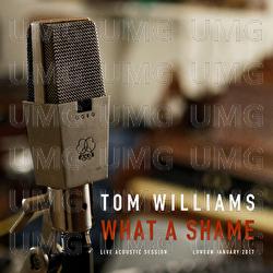 What A Shame - Tom Williams
