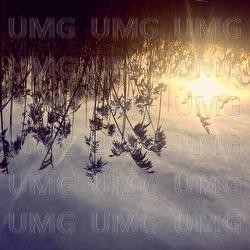 Into My Arms - Ane Brun