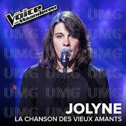 La chanson des vieux amants - Jolyne Vanquaethoven