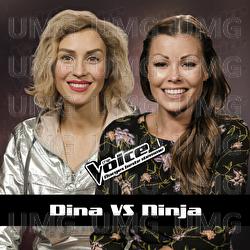 At Seventeen - Dina S&aelig;le Ek, Ninja Krystad